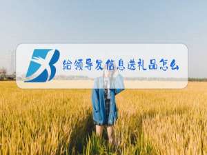 给领导发信息送礼品怎么说