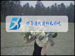 怀孕送礼送什么好吃