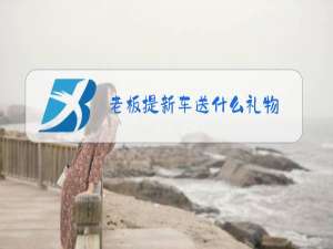 老板提新车送什么礼物