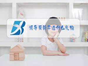 领导买新车送什么礼物