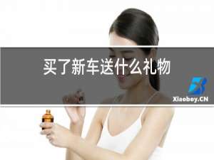 买了新车送什么礼物