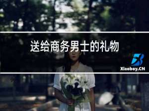送给商务男士的礼物