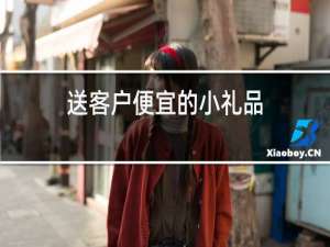 送客户便宜的小礼品