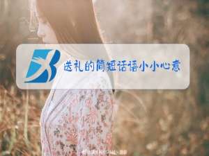 送礼的简短话语小小心意