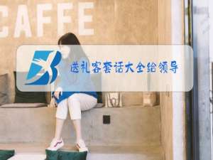 送礼客套话大全给领导