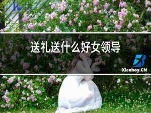 送礼送什么好女领导