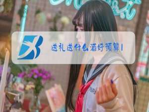 送礼送什么酒好预算1