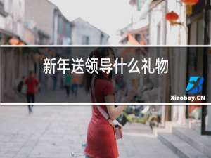 新年送领导什么礼物