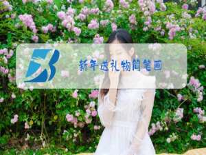 新年送礼物简笔画