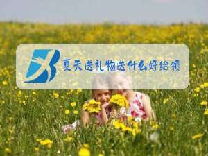 夏天送礼物送什么好给领导
