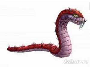 玄蛇是什么神兽