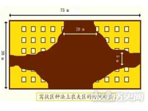 汉朝农业耕作方式