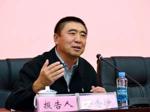 徐念沙(佛山保利的老板是谁?)