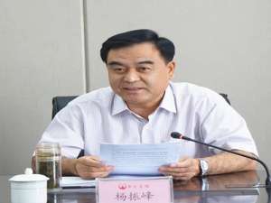 杨振峰(上海市建平中学的校长简介?)