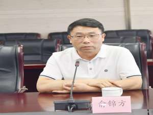 俞锦方(安徽外商投资企业协会吴仁凤是什么人)