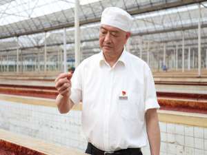 张安秋(雍正王朝中十三老婆扮演者?)