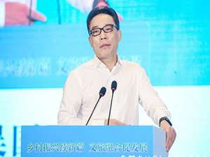 吴国平(吴国平旗下有多少品牌?)
