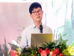 金卫东(金卫东有哪些作品?)