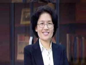 何庭波(海思集团董事长?)