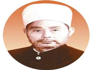 王守义(王守义真实的民族身份?)