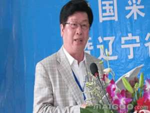 陈国华(ivy老公陈国华个人资料?)