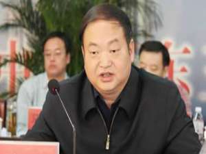 王金书(菏泽有哪些大企业?)