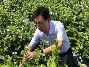 陈德湖(武当太极拳和当代五大太极拳流派有什么渊源，为什么五大太极拳流派里没有武当太极拳?)