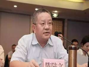 陈陆文(哪位老师 跪求回答 东城服务好的变更董事费用是多少，变更...)