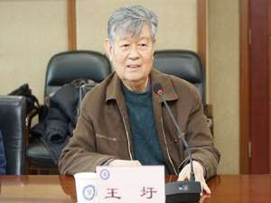 王圩(王圩是壮族的吗?)