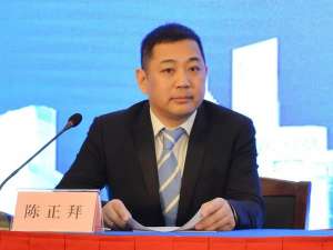 陈正拜(雷佳音的姐夫是谁?)