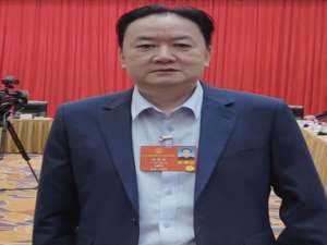 郑军里(郑君里是第几代导演?)