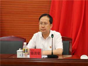 骆清铭(华中科技大学骆清铭有希望当选院士么?)