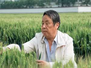 赵振东(赵振东因什么原因牺牲?)