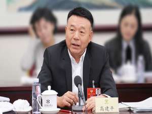 高建平(兴业银行老板?)