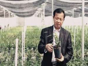 饶春荣(做刺身的厨师怎么称呼?)