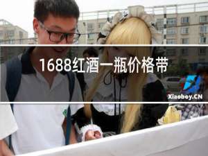 1688红酒一瓶价格带皮盒
