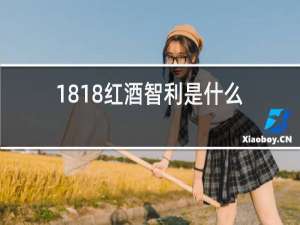 1818红酒智利是什么品牌