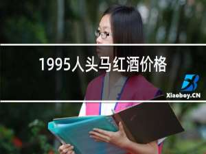 1995人头马红酒价格
