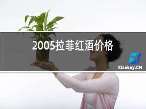 2005拉菲红酒价格