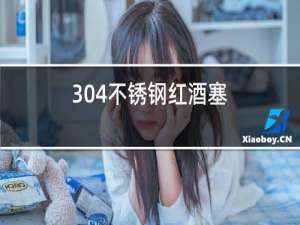 304不锈钢红酒塞