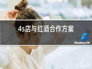 4s店与红酒合作方案