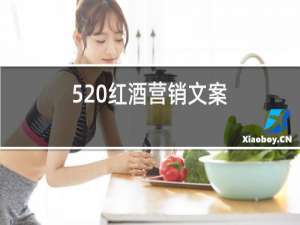 520红酒营销文案