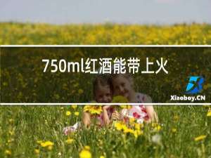 750ml红酒能带上火车