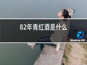 82年青红酒是什么