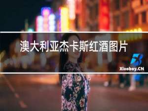 澳大利亚杰卡斯红酒图片及价格