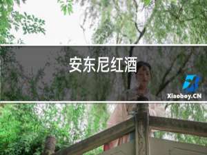 安东尼红酒