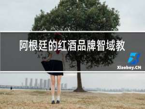 阿根廷的红酒品牌智域教皇之城干红葡萄酒