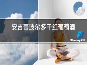 安吉蕾波尔多干红葡萄酒