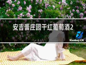 安吉蕾庄园干红葡萄酒2017