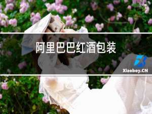 阿里巴巴红酒包装